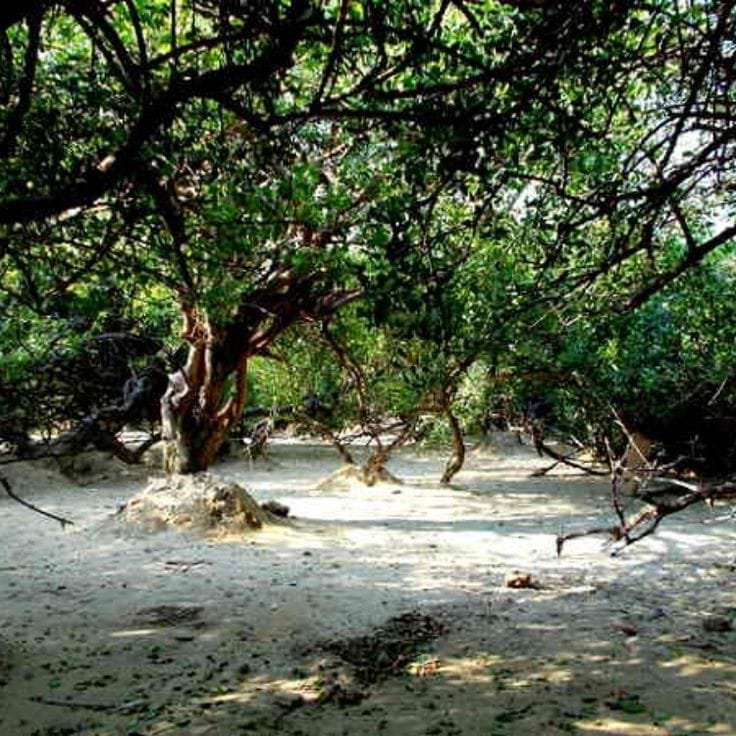 मथुरा तीर्थक्षेत्र दर्शन क्षण